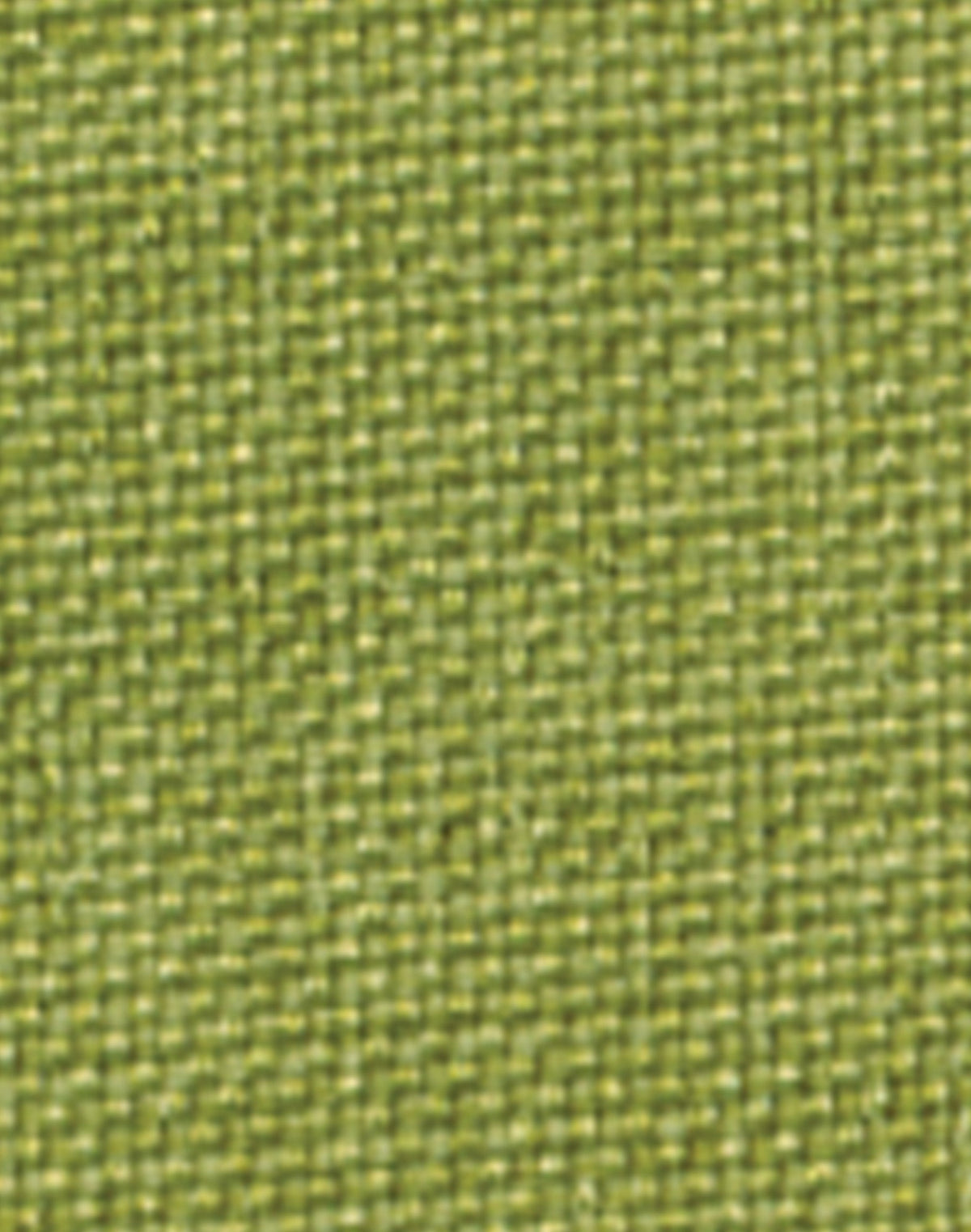 Women's CoolDry 3/4 Sleeve Shirt - Avocado - Front