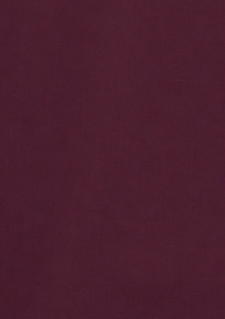 Hudson Mens Long Sleeve Shirt - Wine - View