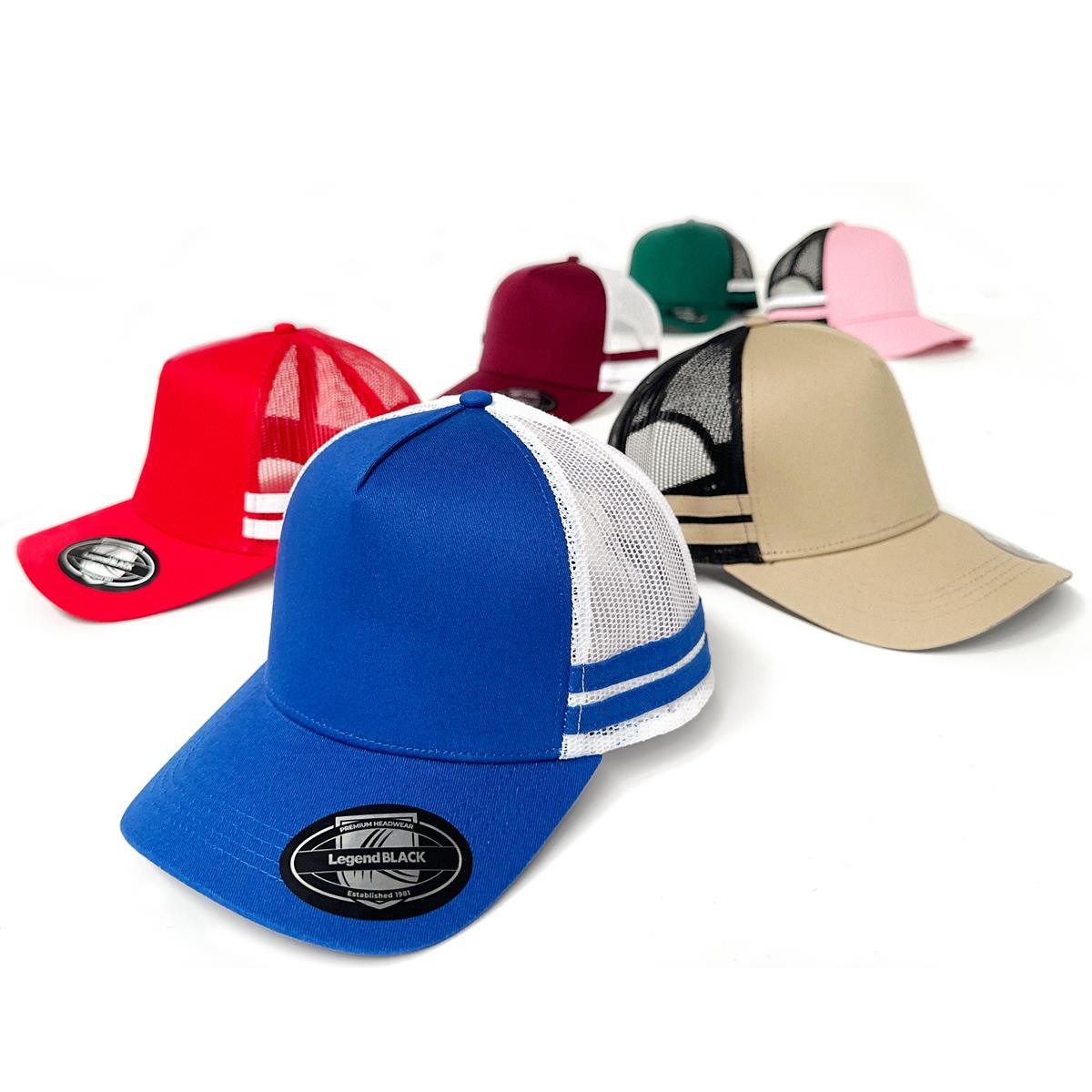 Striped Trucker - view