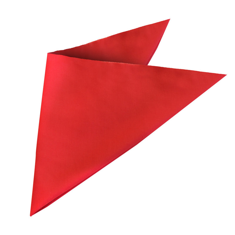 Bandanna – Grace Collection AH830