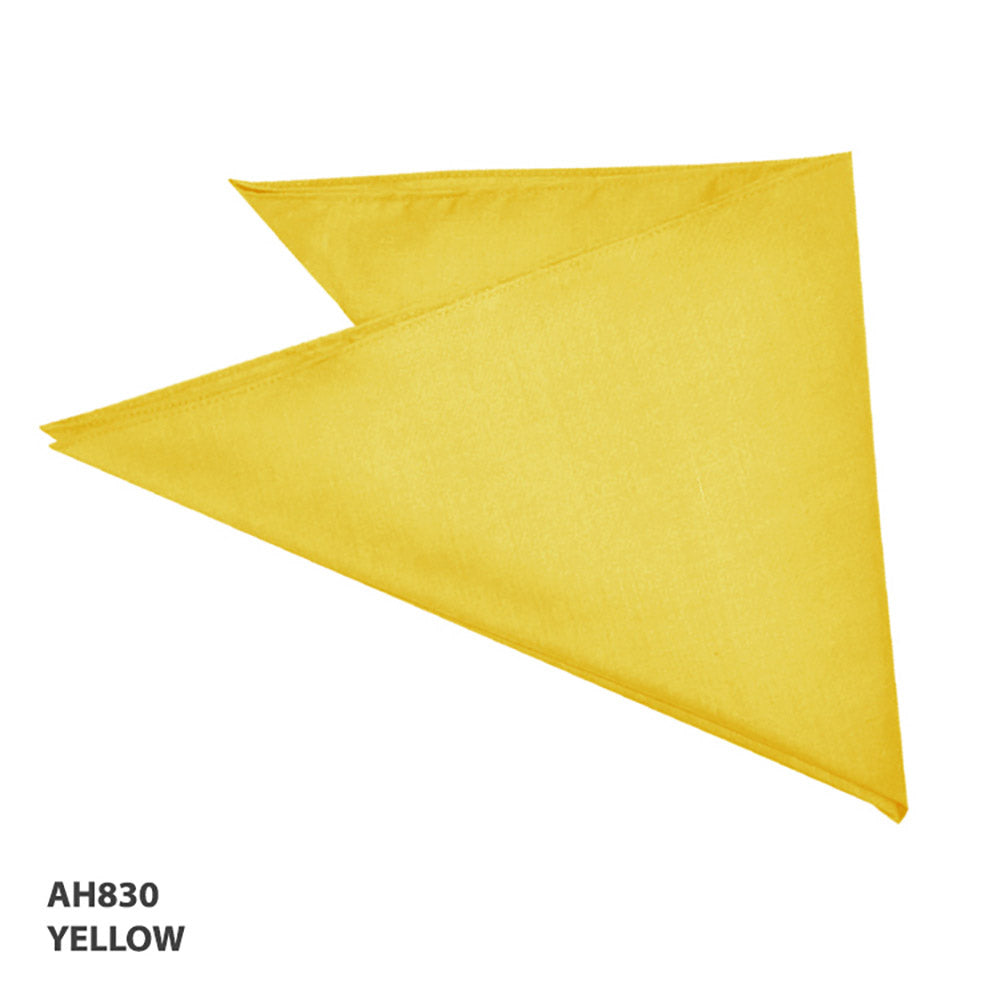 Bandanna – Grace Collection AH830