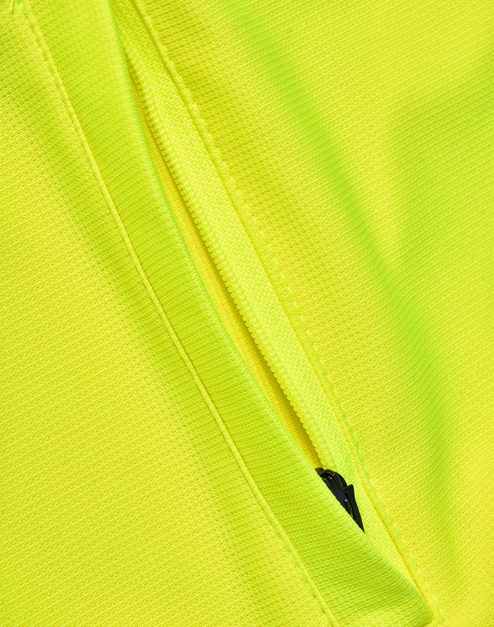 Yellow.Ash