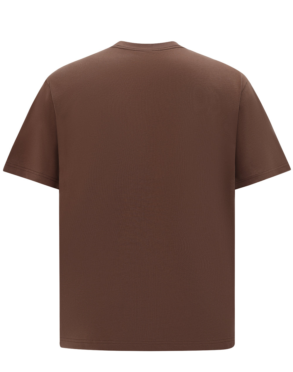 Unisex Heavy Cotton Oversized Tee - Walnut - Back