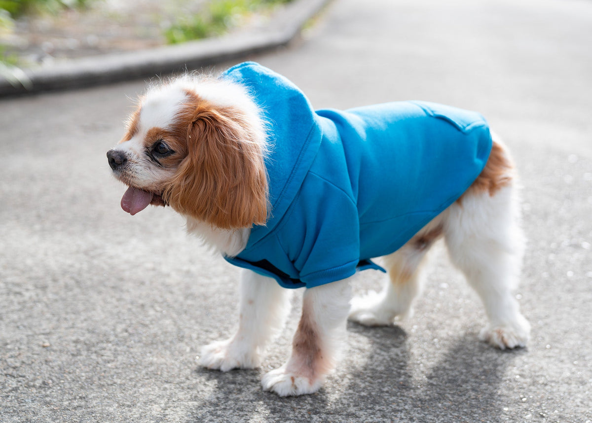dog hoodies - view