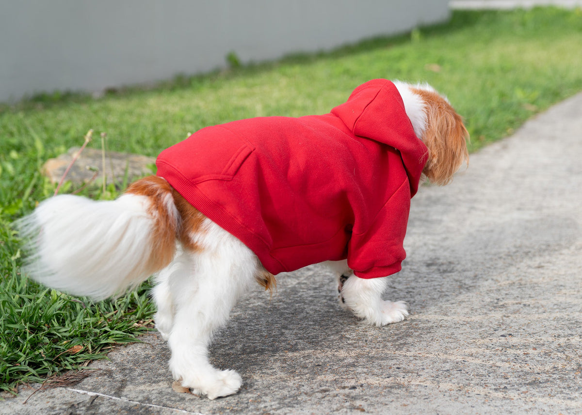 dog hoodies - view