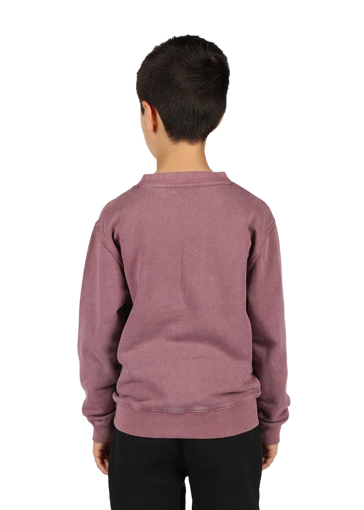 Unisex Stone Wash Sweatshirts - view