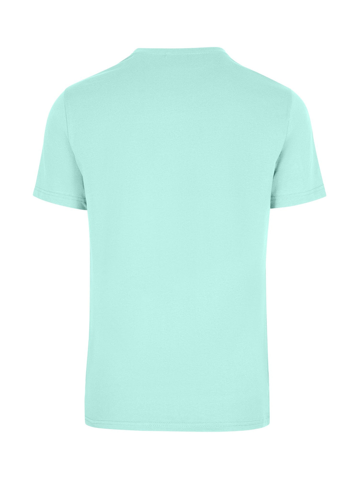 Men's / Unisex  American Style t-shirt - Fresh Mint - Back